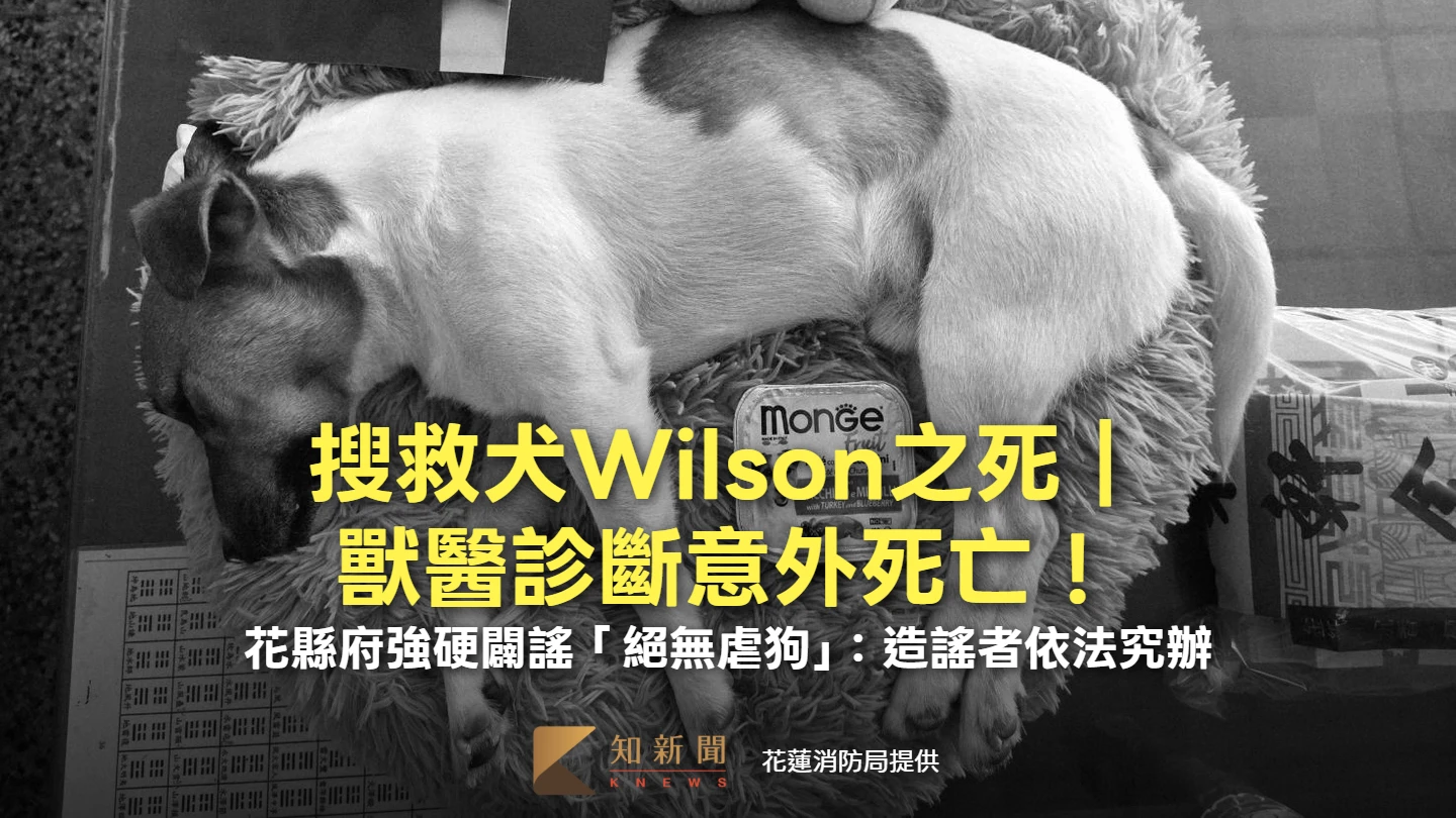 搜救犬Wilson之死｜獸醫診斷意外死亡！花縣府強硬闢謠「絕無虐狗」：造謠者依法究辦