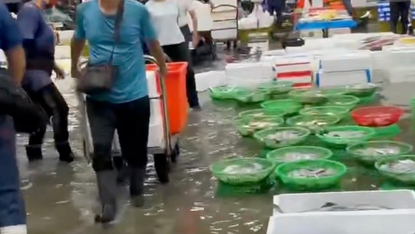 整夜豪雨灌爆前鎮魚市場！攤商怒喊「如何經營」　海洋局曝淹水原因