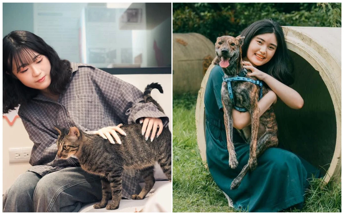 毛寶貝不登記要開罰！新北落實犬貓寵物登記　限時完成抽500點新北幣