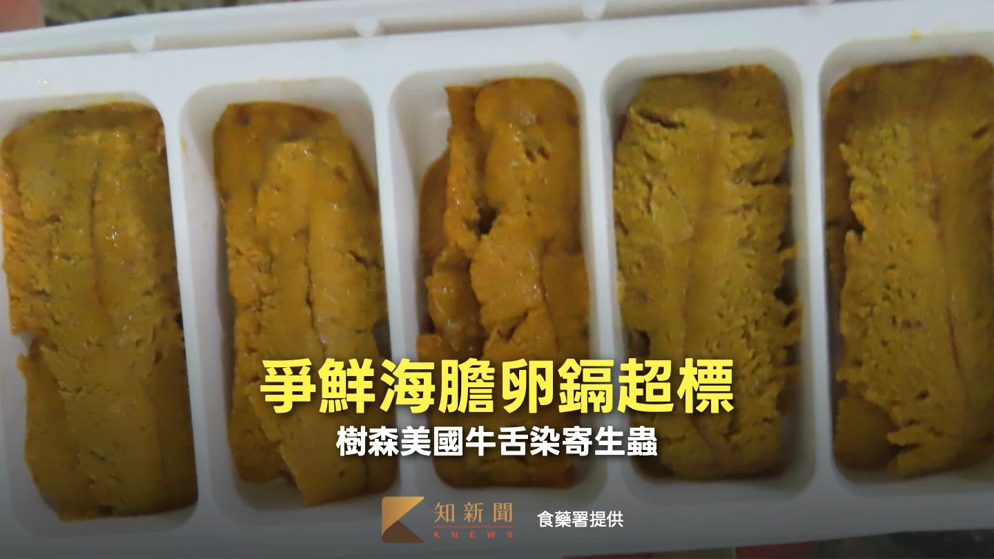 爭鮮海膽卵鎘超標！半年二犯改逐批查驗　樹森美國牛舌染寄生蟲