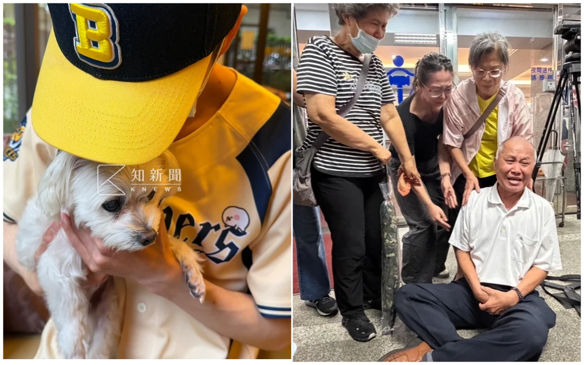 國民法官不忍了！揭惡男殺妻姨奪2命免死關鍵　新北地院回應了