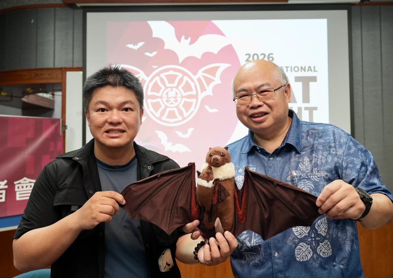 瀕危台灣狐蝠僅剩不到400隻　花蓮市區無心插柳成唯一都市族群