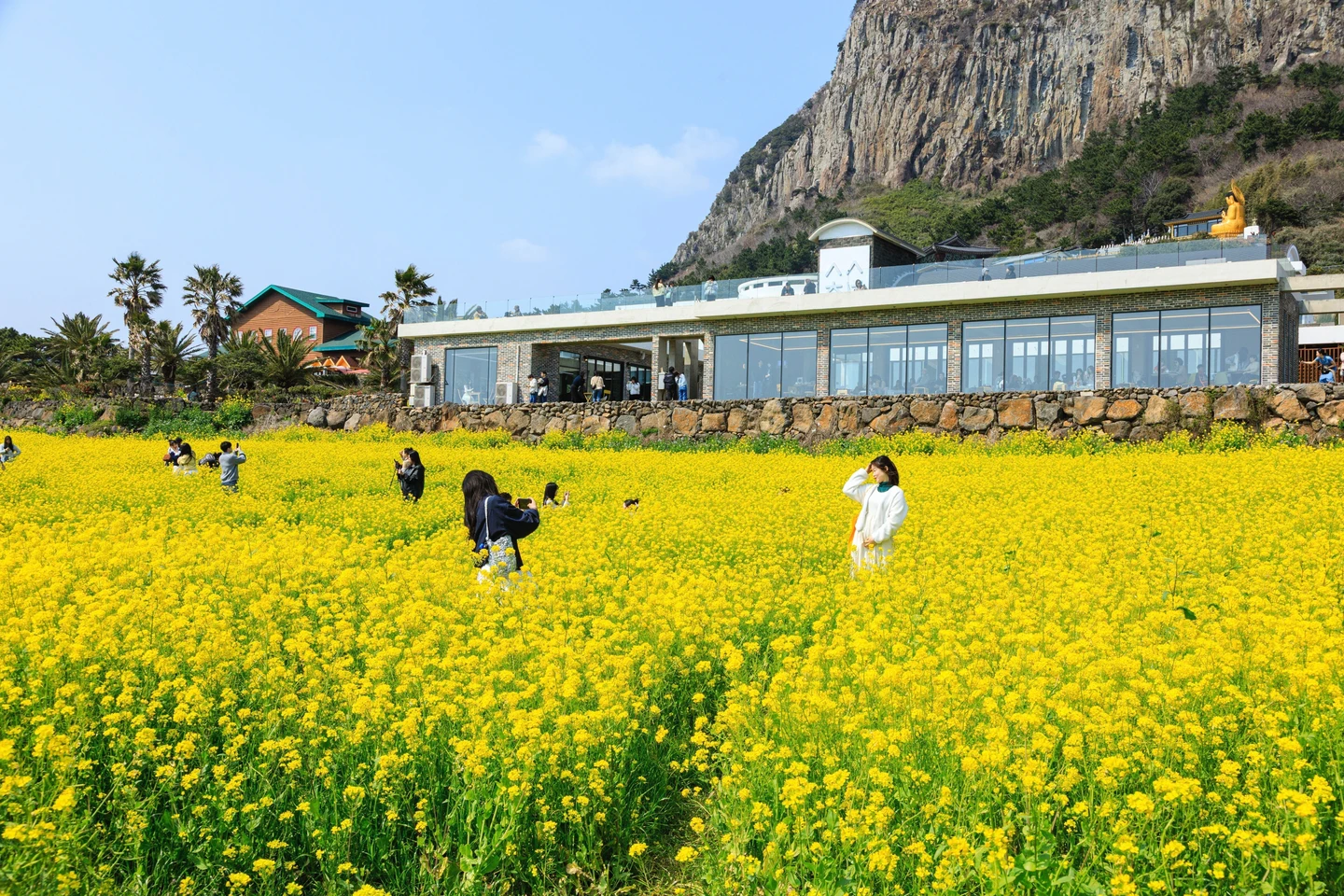 失蹤案衝擊南韓濟州島觀光　遊客人次降13%！喊：改去江原道