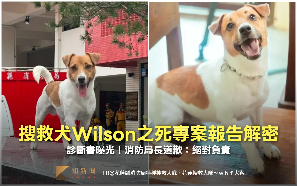 搜救犬Wilson之死專案報告解密　診斷書曝光！消防局長道歉：絕對負責