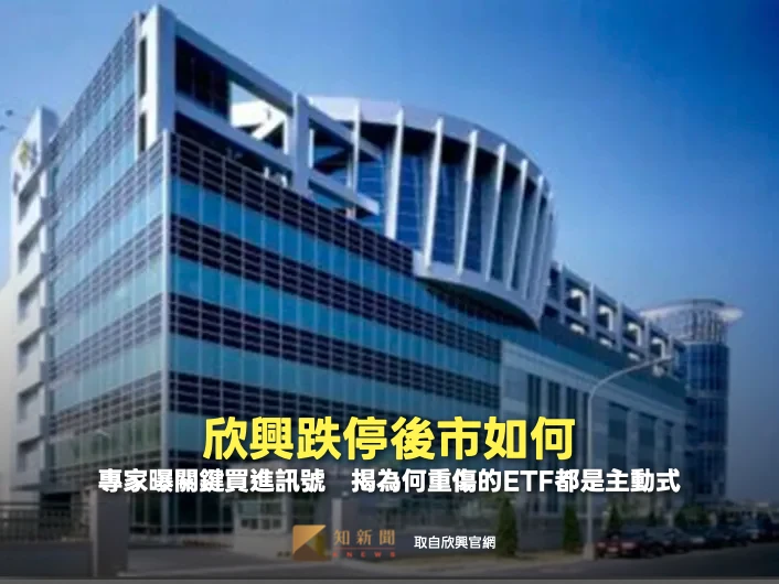 欣興跌停後市如何？專家曝關鍵買進訊號　揭為何重傷的ETF都是主動式
