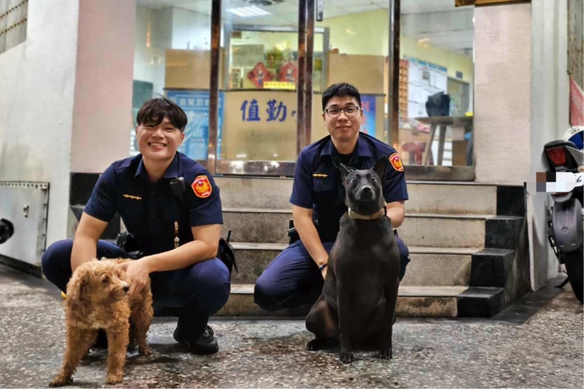 玄奇片｜紅貴賓雨夜走失求救！警犬黑醬「汪一聲」發號施令　率隊神救援