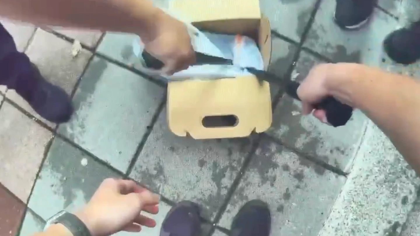 恐嚇專賣店！潑糞、潑蟑丟蛇價碼曝　黑幫斜槓詐團水房全落網