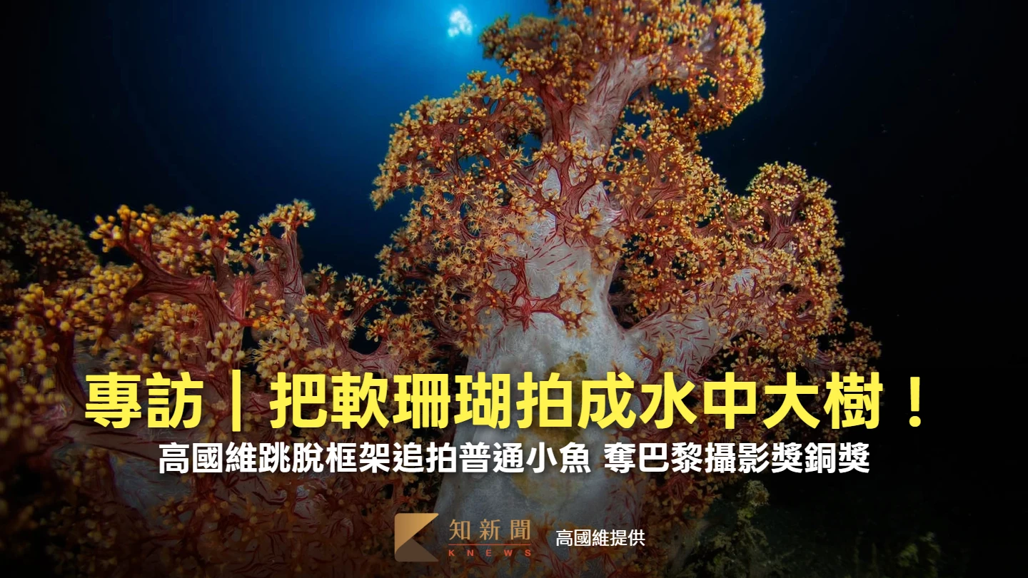 專訪｜水中拍出樹下仰望天空意境！　高國維跳脫框架奪巴黎攝影獎