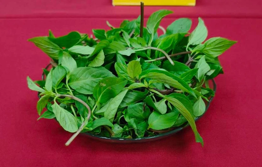 靈魂配菜藏毒！九層塔農藥殘留違規率高達8成　1件檢出禁用毒殺蟲劑「陶斯松」