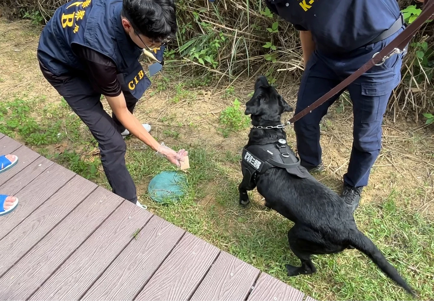 台南、高雄公園河堤藏大麻！販毒集團成員埋到忘了　全被緝毒犬嗅出