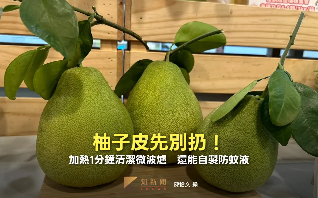 柚子皮先別扔！加熱1分鐘清潔微波爐　還能自製防蚊液