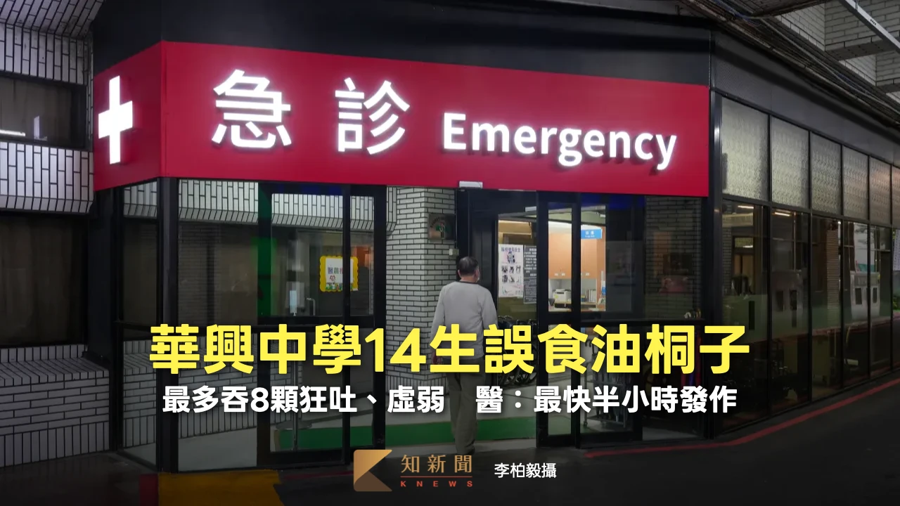 華興中學14生誤食油桐子！最多吞8顆狂吐、虛弱　醫：最快半小時發作