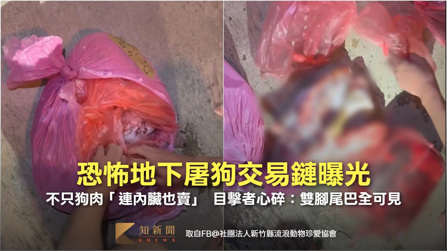 恐怖地下屠狗交易鏈曝光！不只狗肉「連內臟也賣」　目擊者心碎：雙腳尾巴全可見