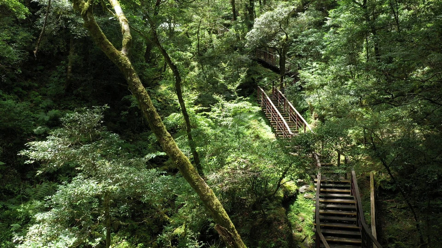 國慶連假上山賞秋！13處國家森林遊樂區門票限時「半價優惠」