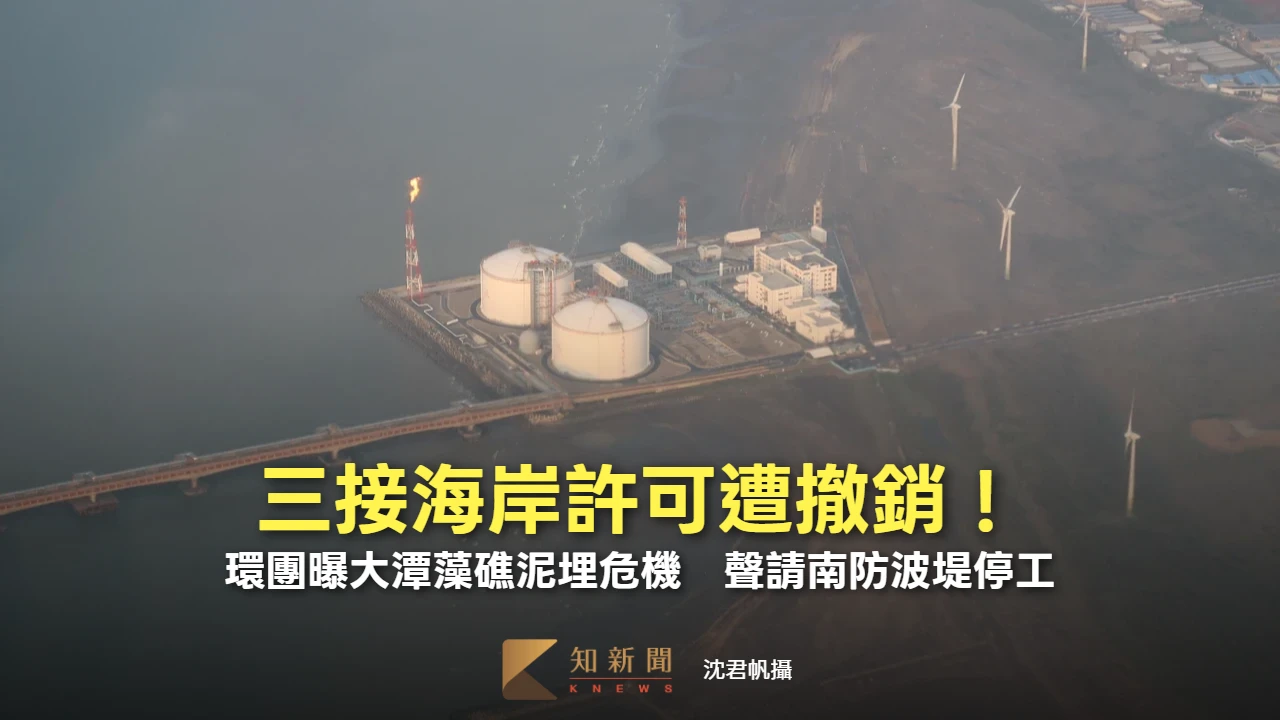 三接海岸許可遭撤銷！環團曝大潭藻礁泥埋危機　聲請南防波堤停工