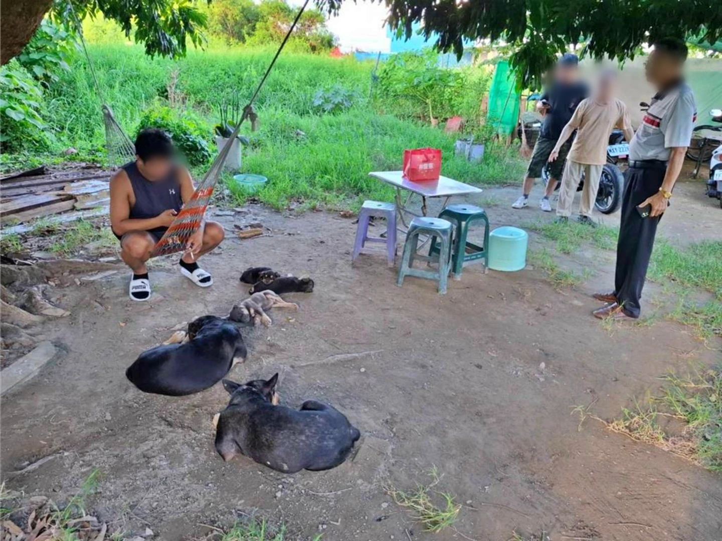 台南移工爆宰狗藏冰箱！動保處直擊幼犬缺腿竟稱「豬骨頭」　翻車不敢公開挨轟