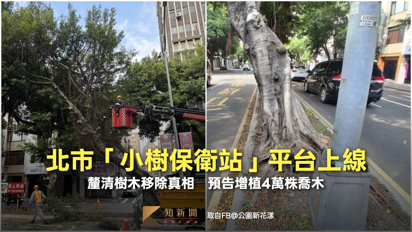 北市「小樹保衛站」平台上線！釐清樹木移除真相　預告增植4萬株喬木