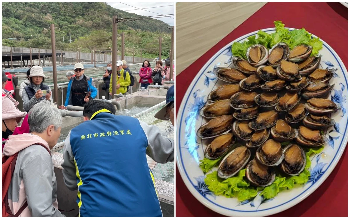 限量8場拚手速！新北「貢寮鮑食魚教育」免費體驗 　10/23開放報名