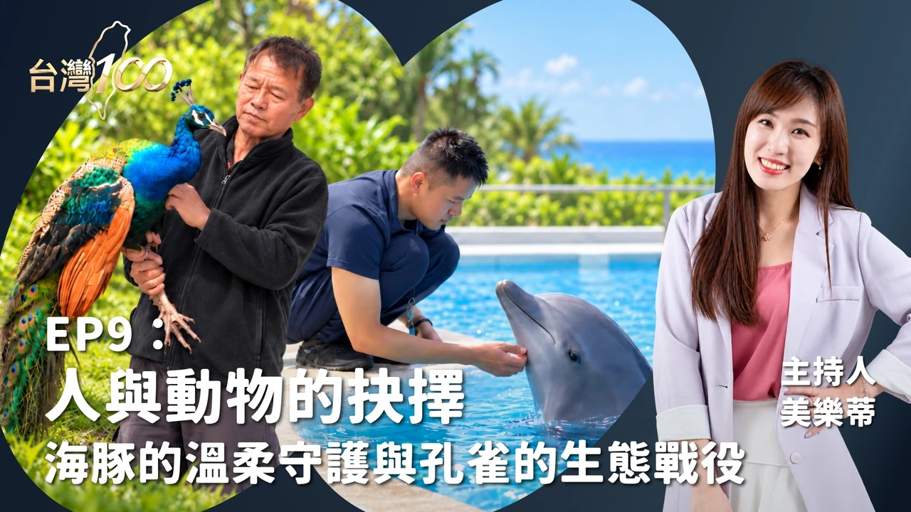 台灣100｜人與動物的距離—末代訓豚人的溫柔相伴與金門孔雀的暗夜戰役