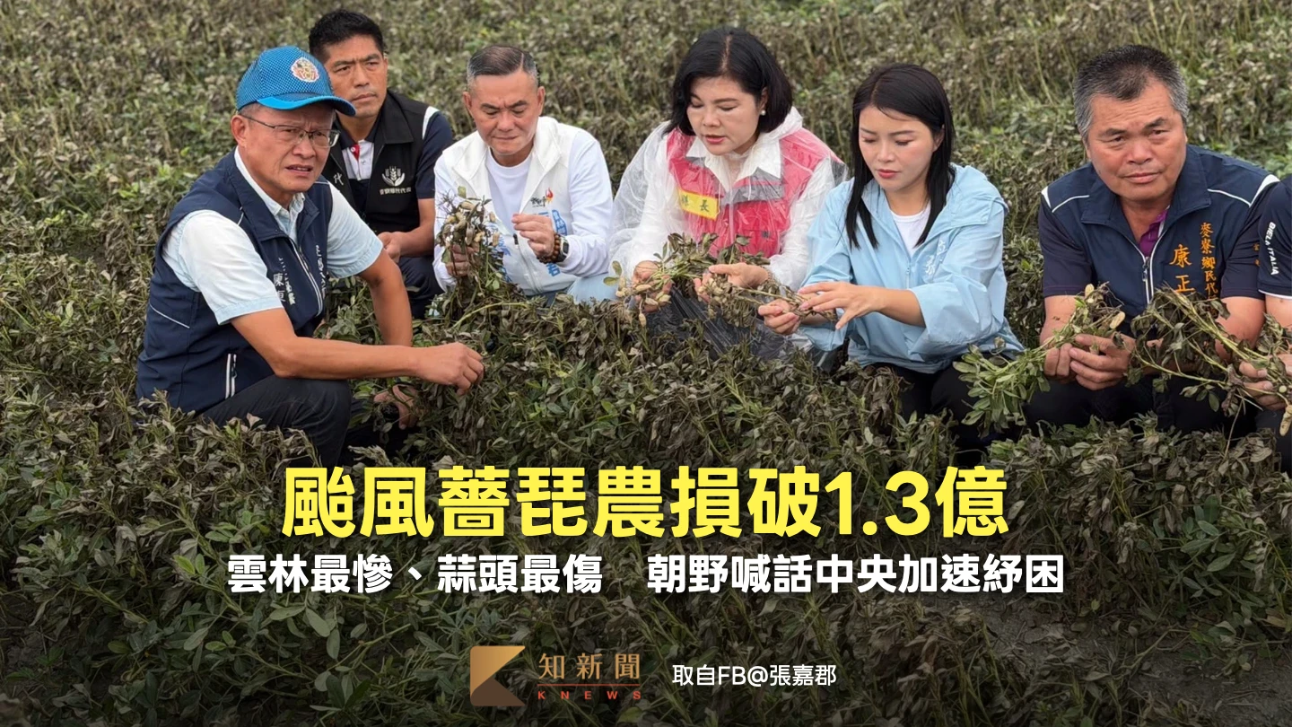 颱風薔琵農損破1.3億！雲林最慘、蒜頭最傷　朝野喊話中央加速紓困
