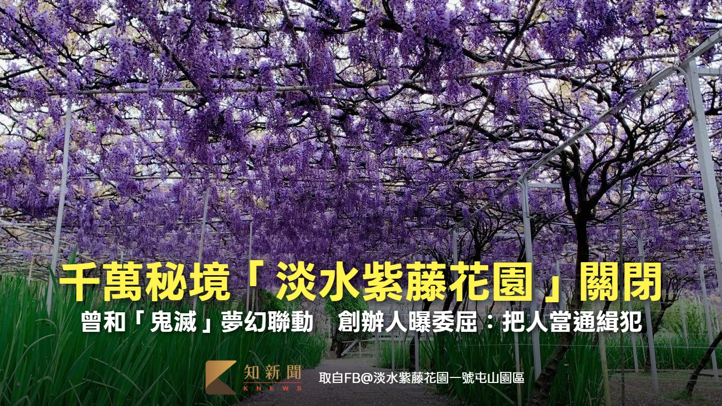 曾和「鬼滅」夢幻聯動！半億打造秘境「淡水紫藤花園」關閉　創辦人曝委屈：把人當通緝犯