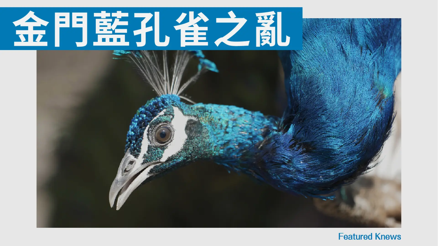 外來種生態危機